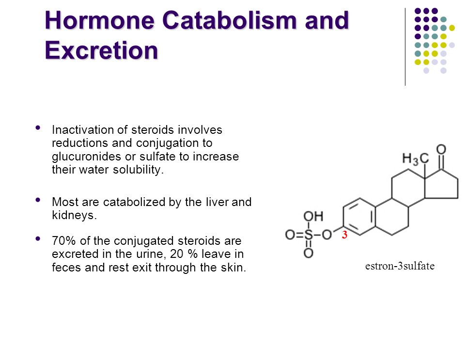 Hormone Catabolism and Excretion