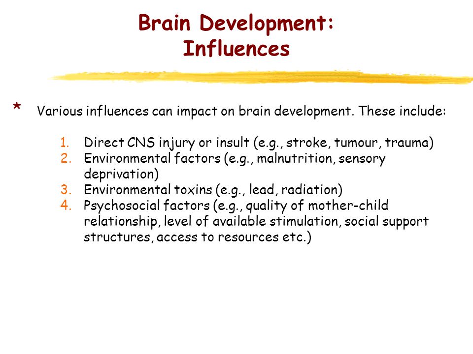 Environmental influences on the pace of brain development