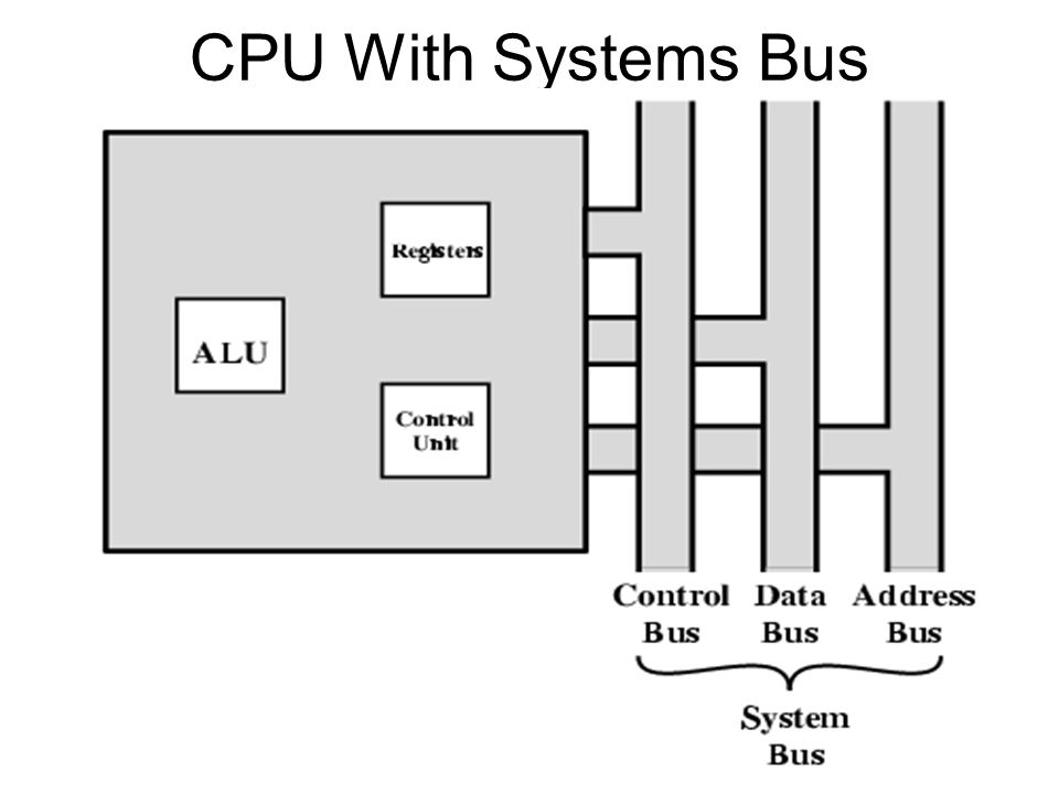 CPU With Systems Bus