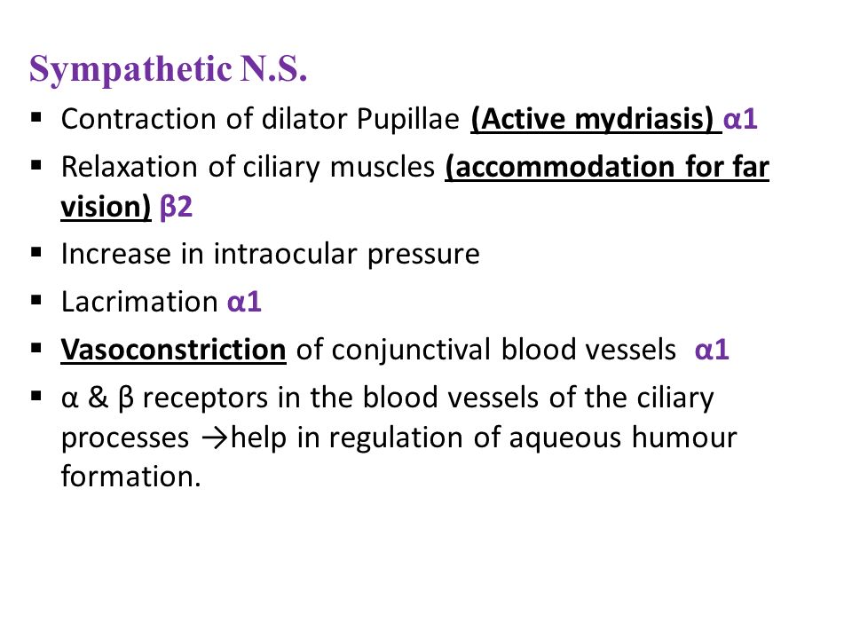 Sympathetic N.S. Contraction of dilator Pupillae (Active mydriasis) α1