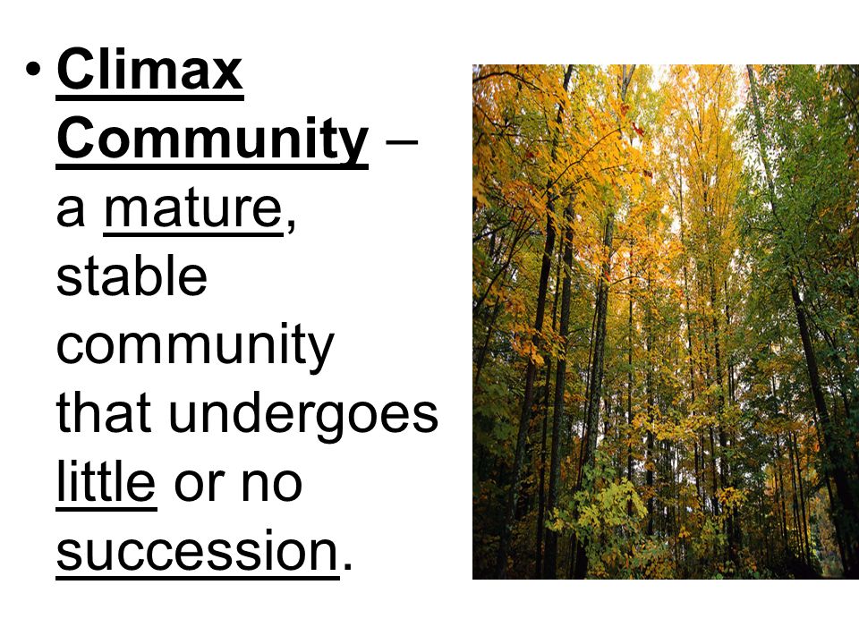 Climax Community –a mature, stable community that undergoes little or no succession.