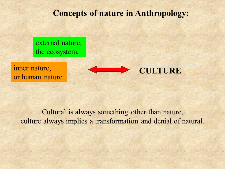 Lecture 2 Nature versus culture - ppt download