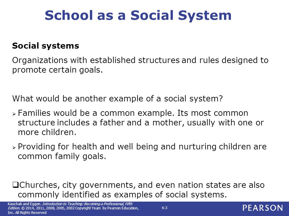 examples of social systems