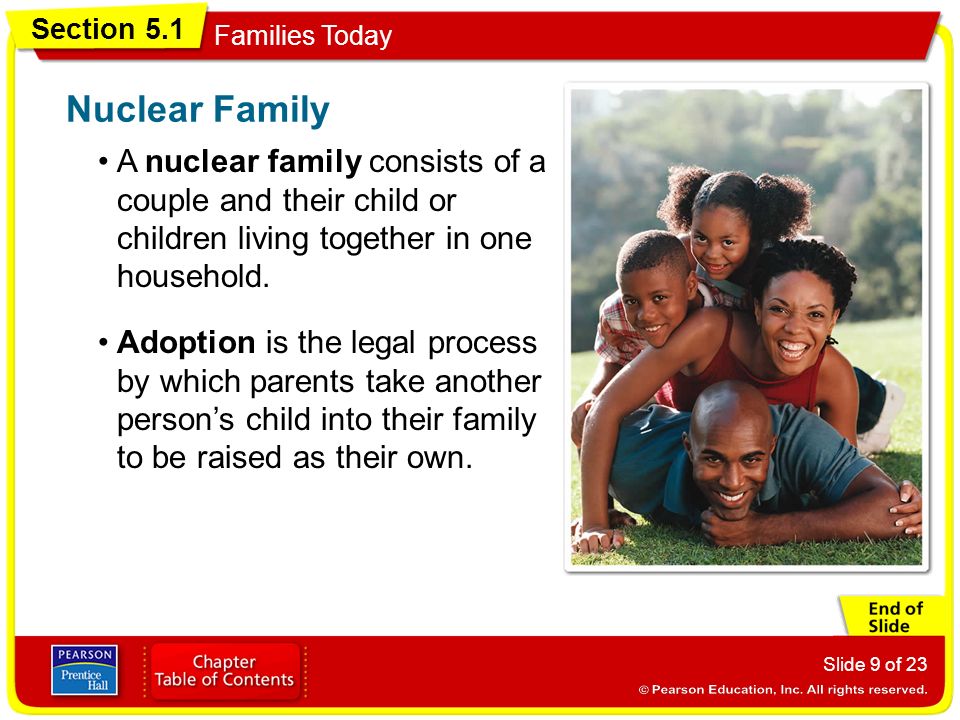 Nuclear Family A nuclear family consists of a couple and their child or children living together in one household.