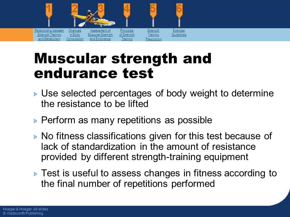 Muscular Strength and Endurance - ppt video online download