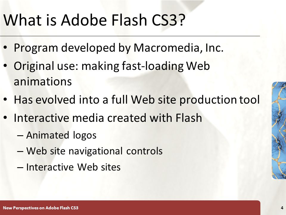 adobe flash cs3 professional user guide