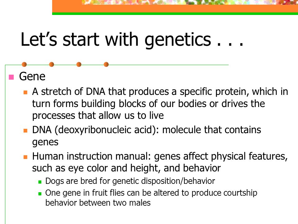 Let’s start with genetics . . .