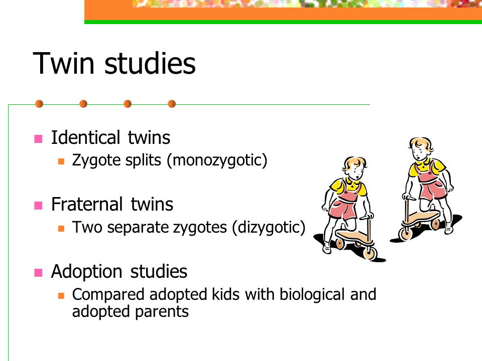 Twin studies Identical twins Fraternal twins Adoption studies