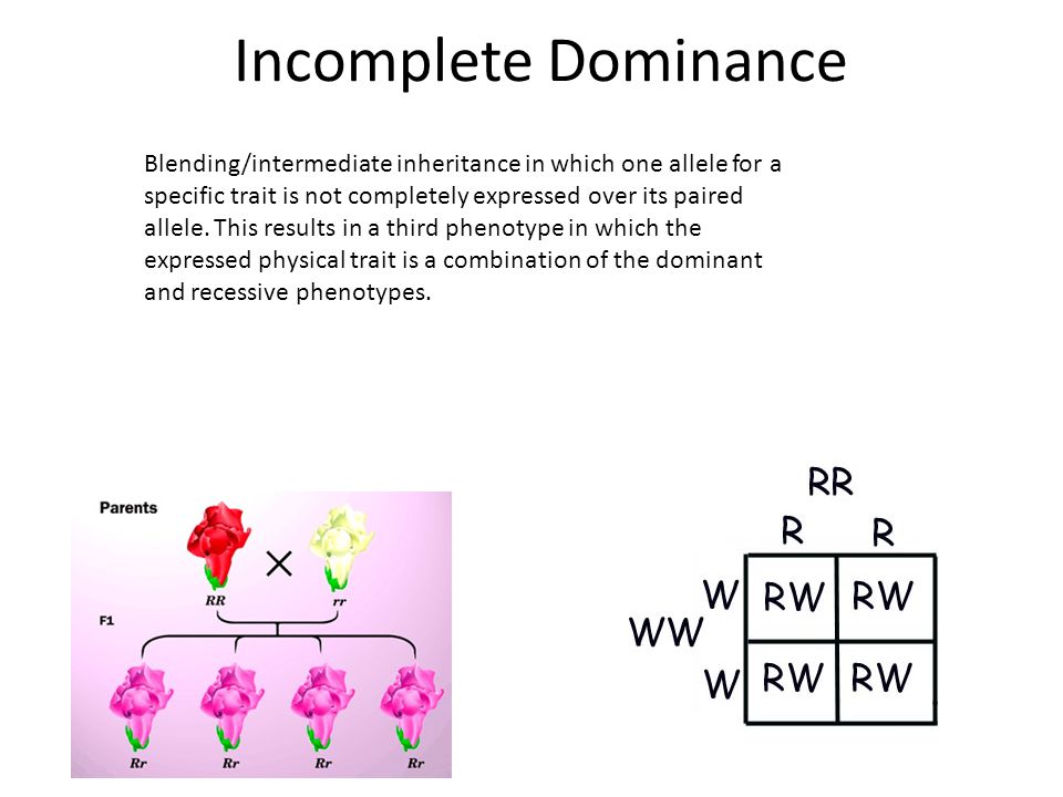 Vocabulary Klinefelters Turners Edwards syndrome Downs syndrome ...