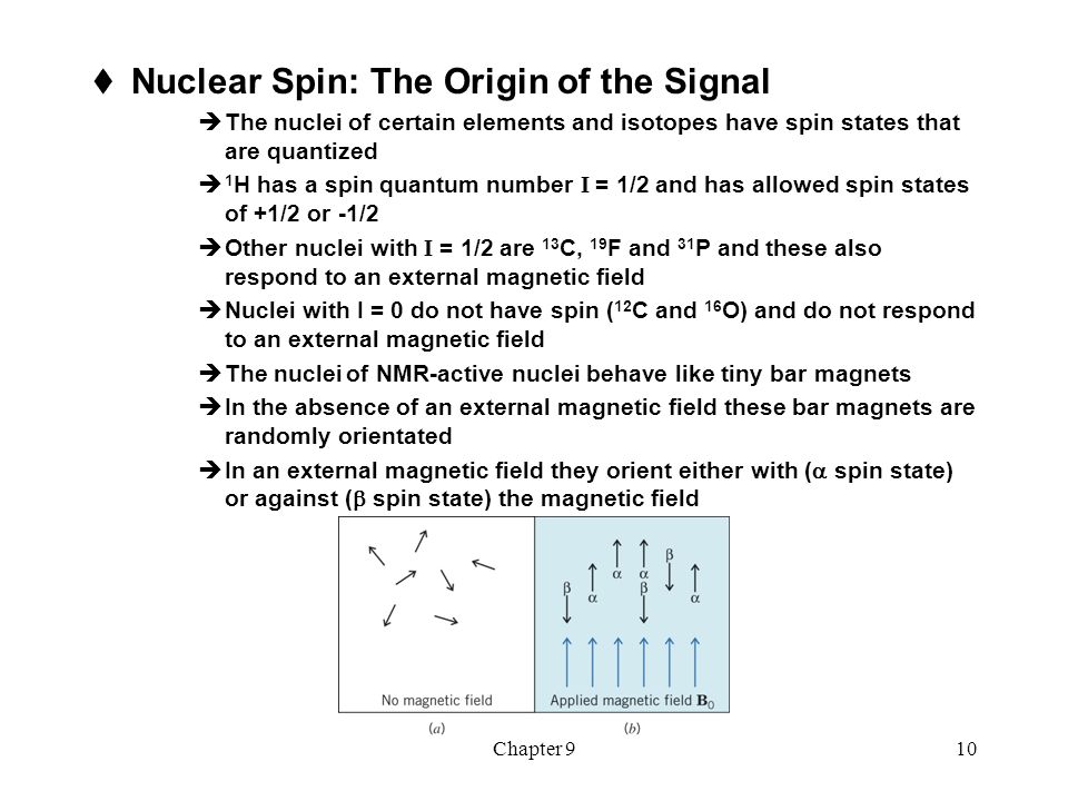 Nuclear Spin: The Origin of the Signal