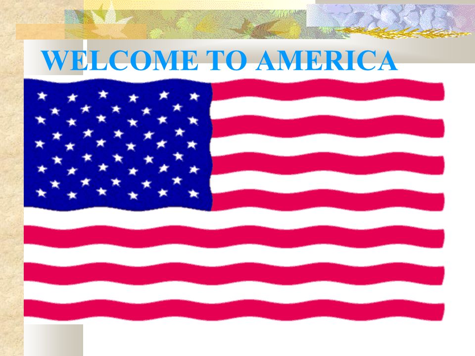 WELCOME TO AMERICA