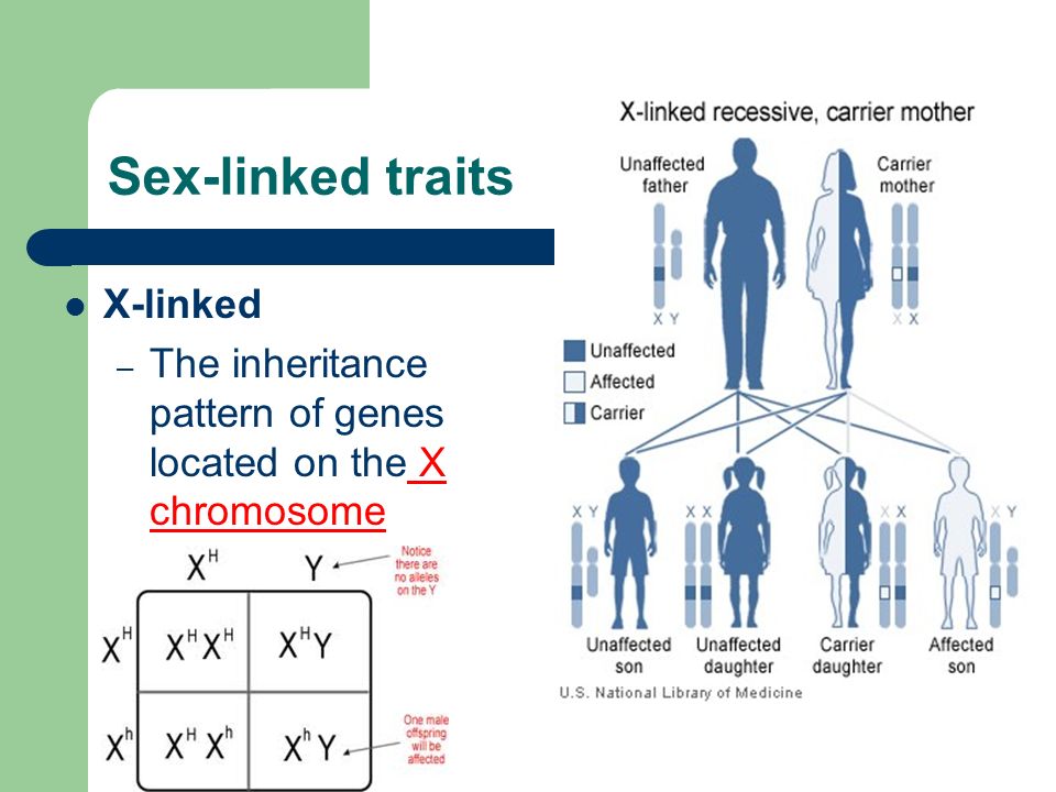 Sex-linked traits X-linked.
