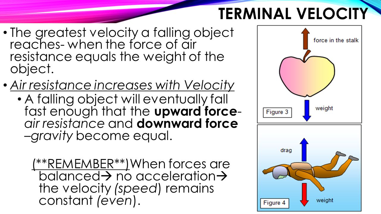 Terminal Velocity The greatest velocity a falling object reaches- when the force of air resistance equals the weight of the object.
