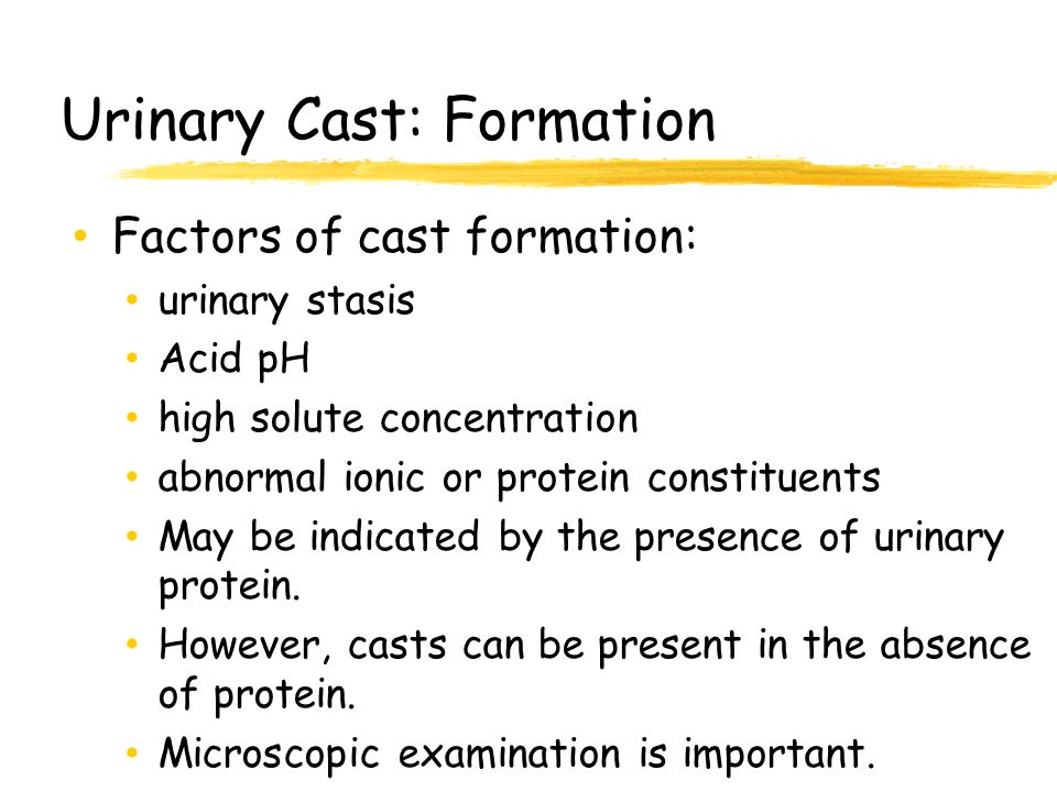 Urinalysis and Body Fluids CRg - ppt video online download