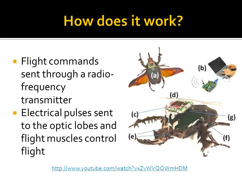 How does it work Flight commands sent through a radio-frequency transmitter.