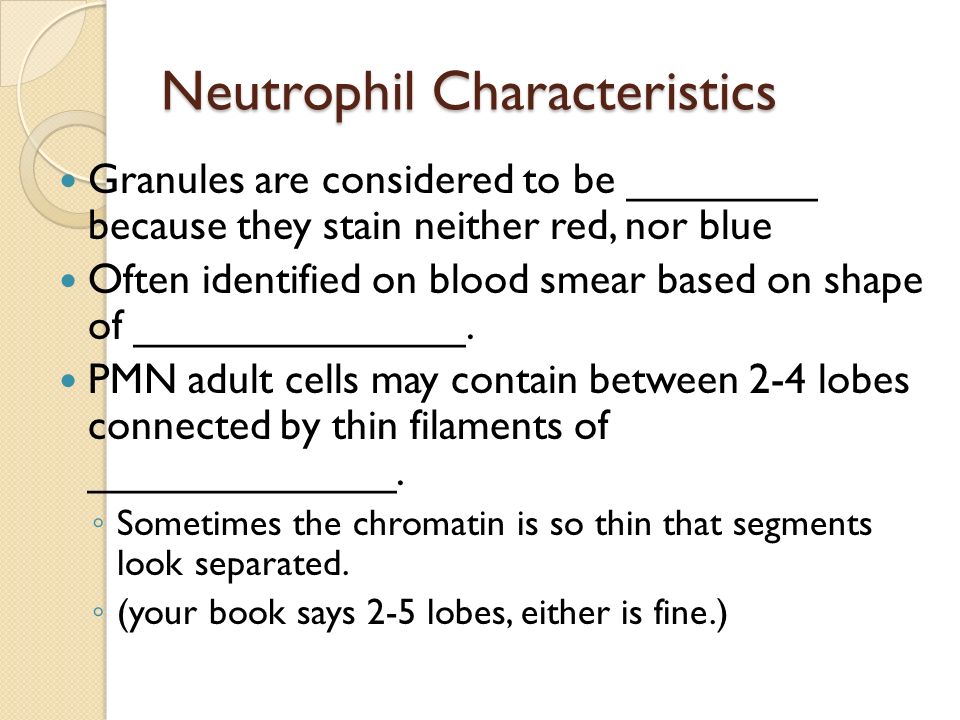 Neutrophil Characteristics