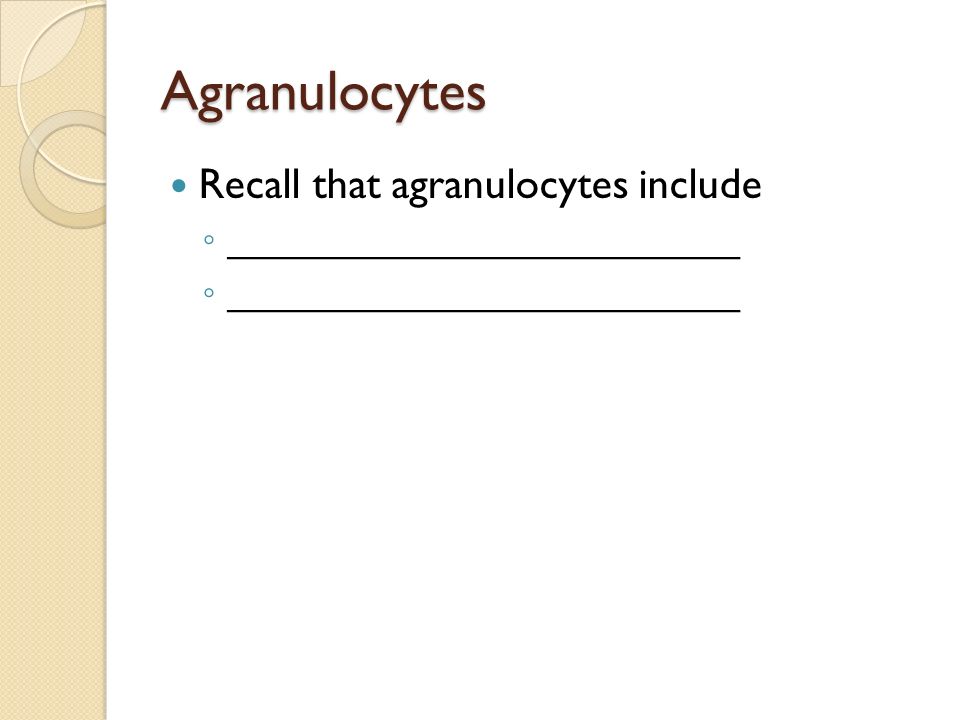 Agranulocytes Recall that agranulocytes include