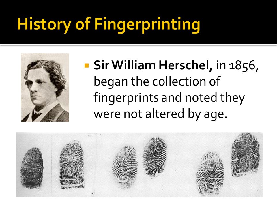 SFS2. Students will use various scientific techniques to analyze physical  and trace evidence. Identify and utilize appropriate techniques used to  lift. - ppt video online download