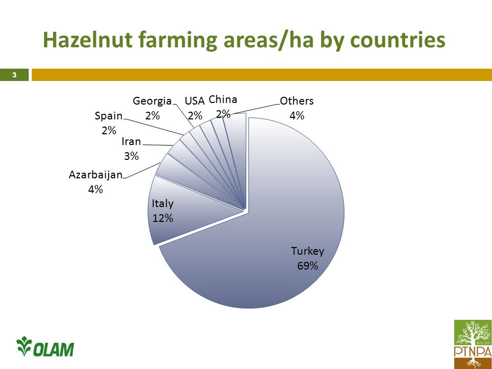 Hazelnut farming areas/ha by countries