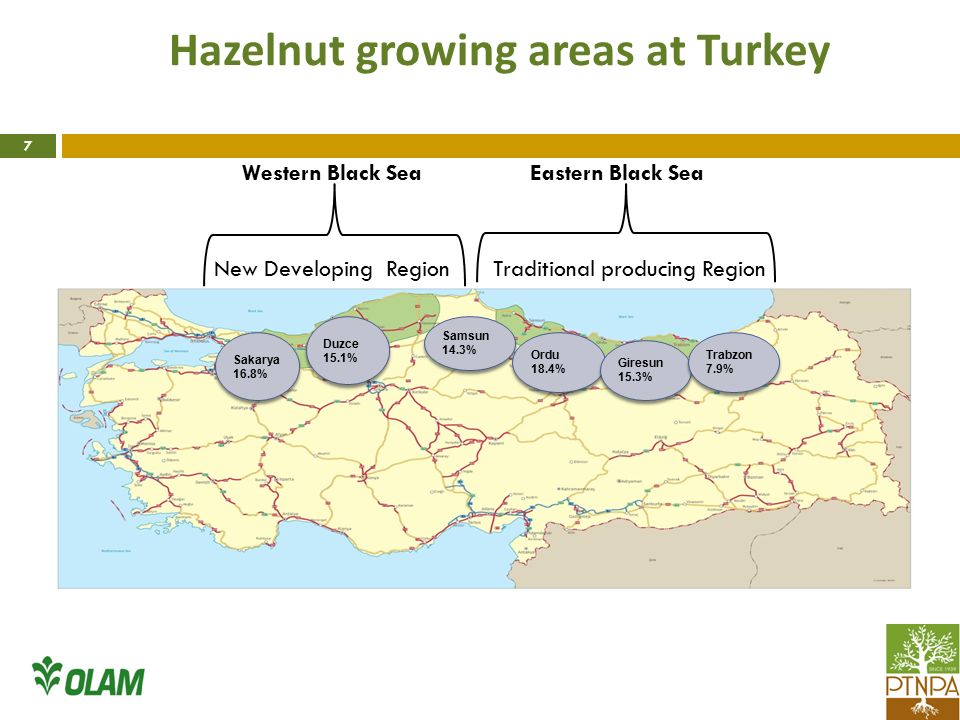 Hazelnut growing areas at Turkey