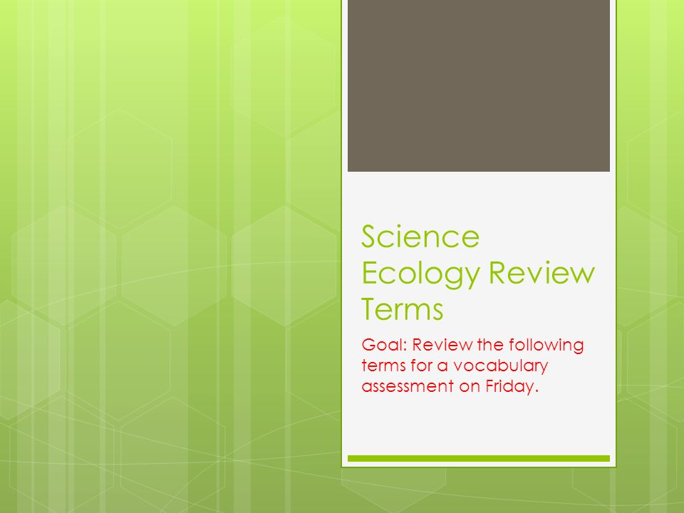 Science Ecology Review Terms