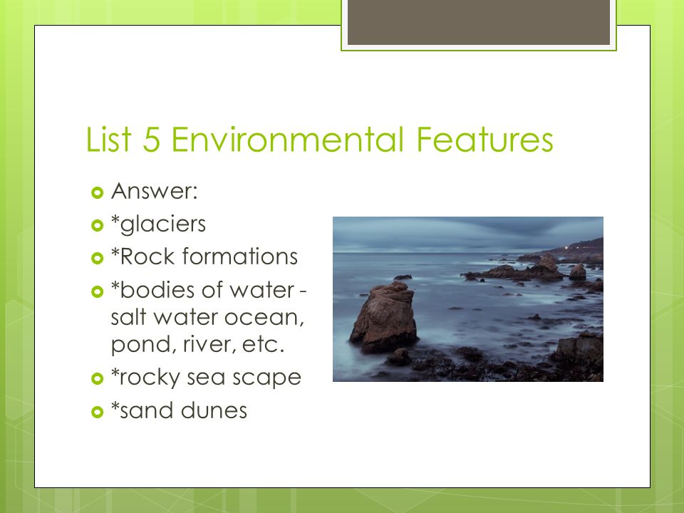 List 5 Environmental Features