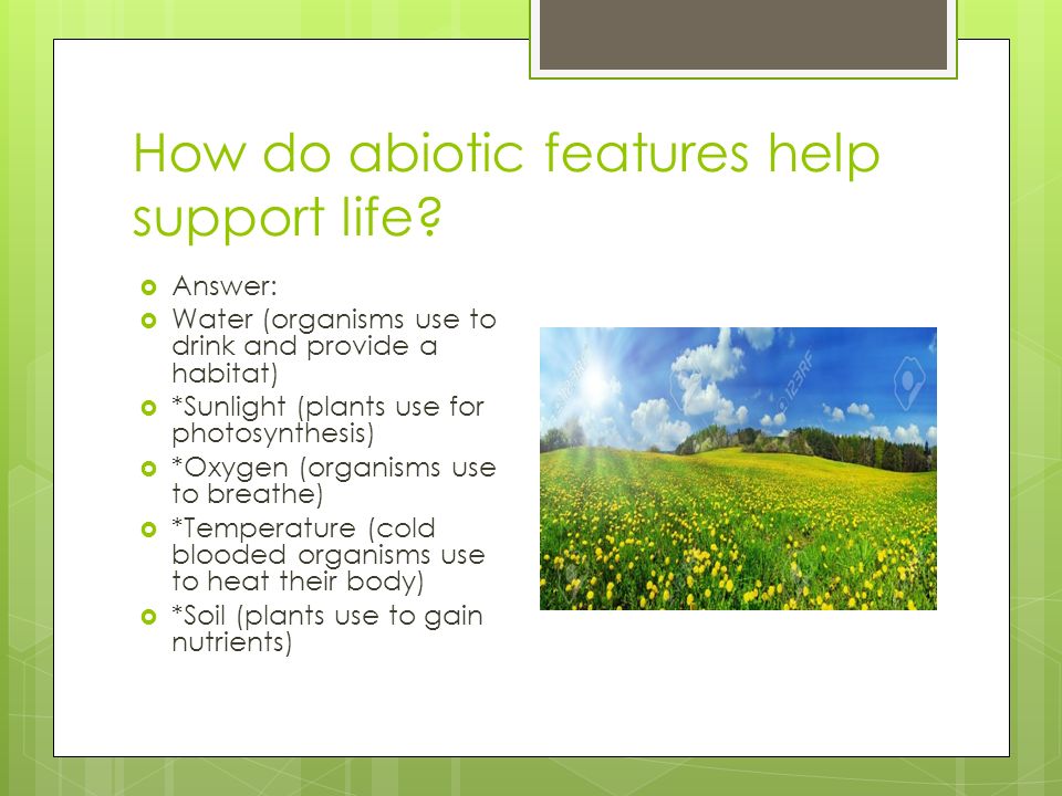 How do abiotic features help support life