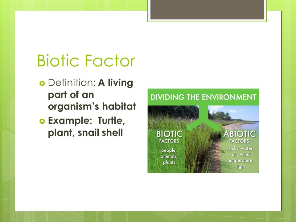Biotic Factor Definition: A living part of an organism’s habitat