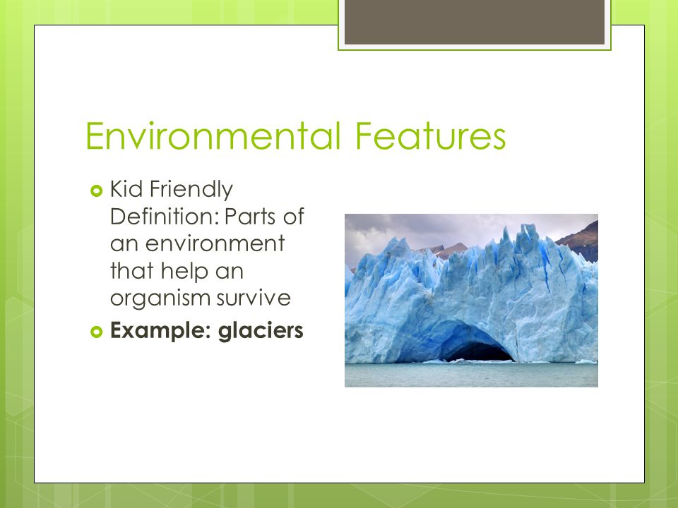 Environmental Features
