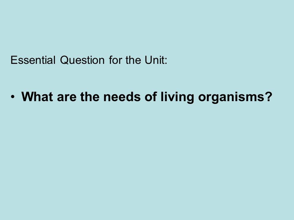 What are the needs of living organisms