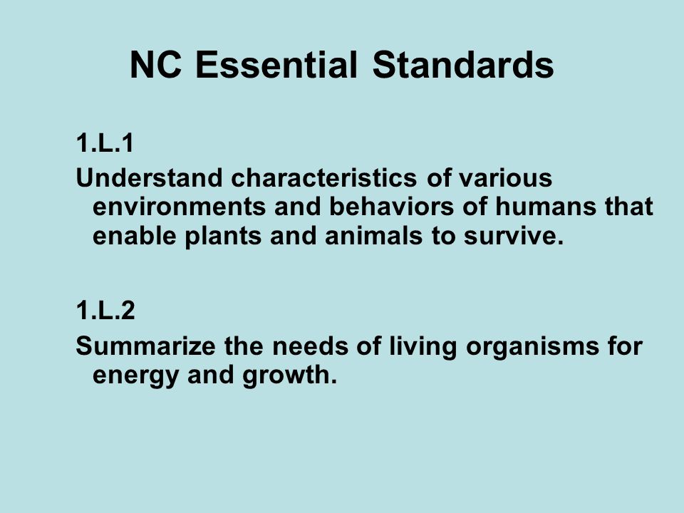 NC Essential Standards