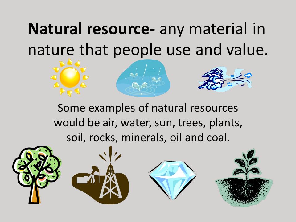 Image result for natural resources examp;es