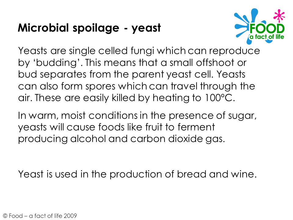 Microbial spoilage - yeast