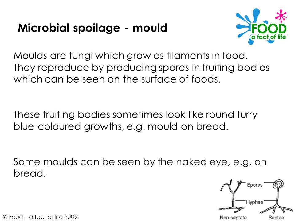 Microbial spoilage - mould