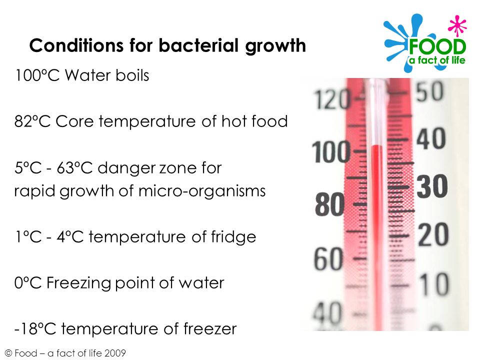 Conditions for bacterial growth