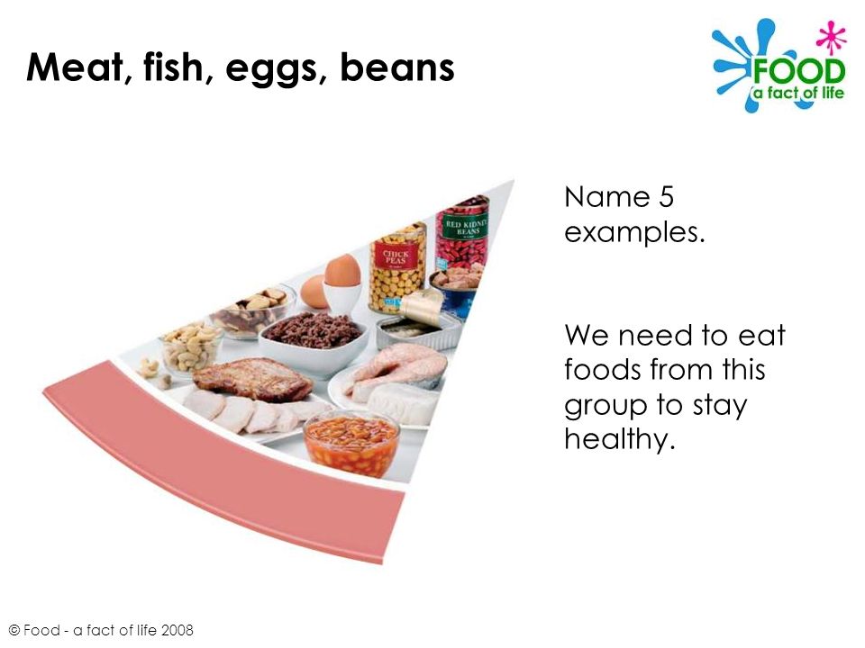 Meat, fish, eggs, beans Name 5 examples.