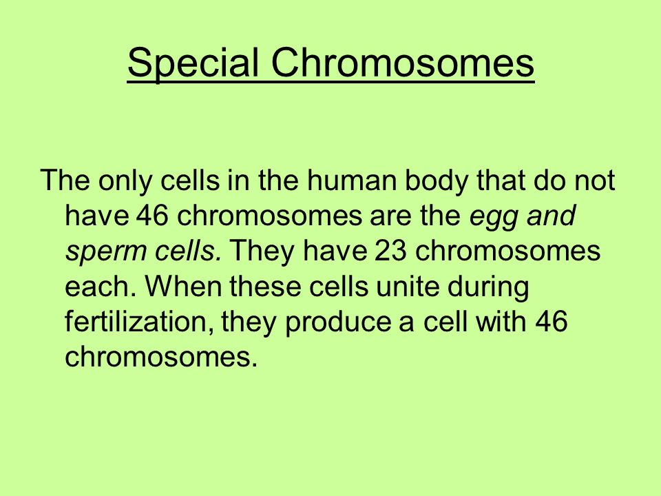 Special Chromosomes