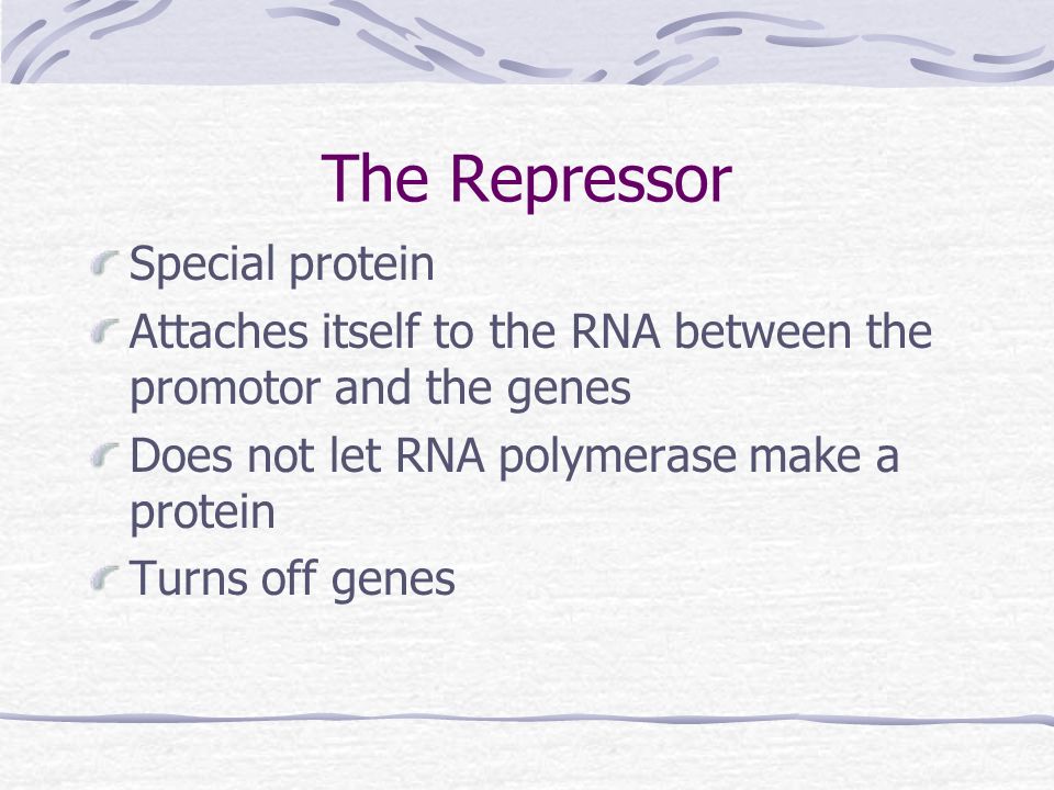The Repressor Special protein