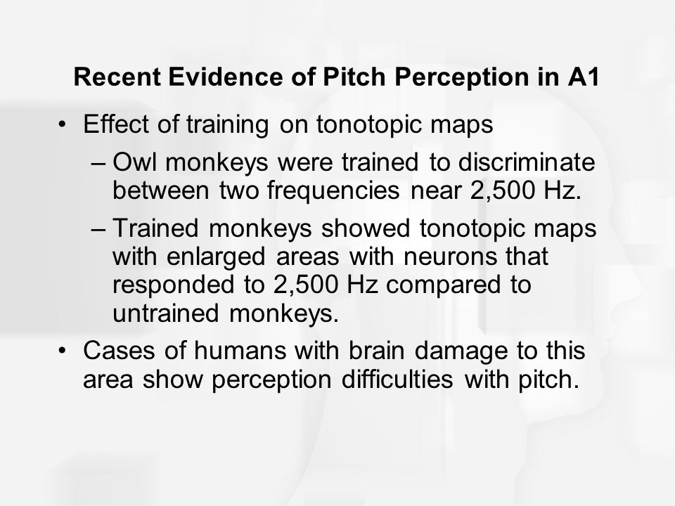 Recent Evidence of Pitch Perception in A1