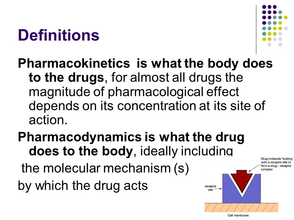Introduction to Pharmacokinetics on Make a GIF