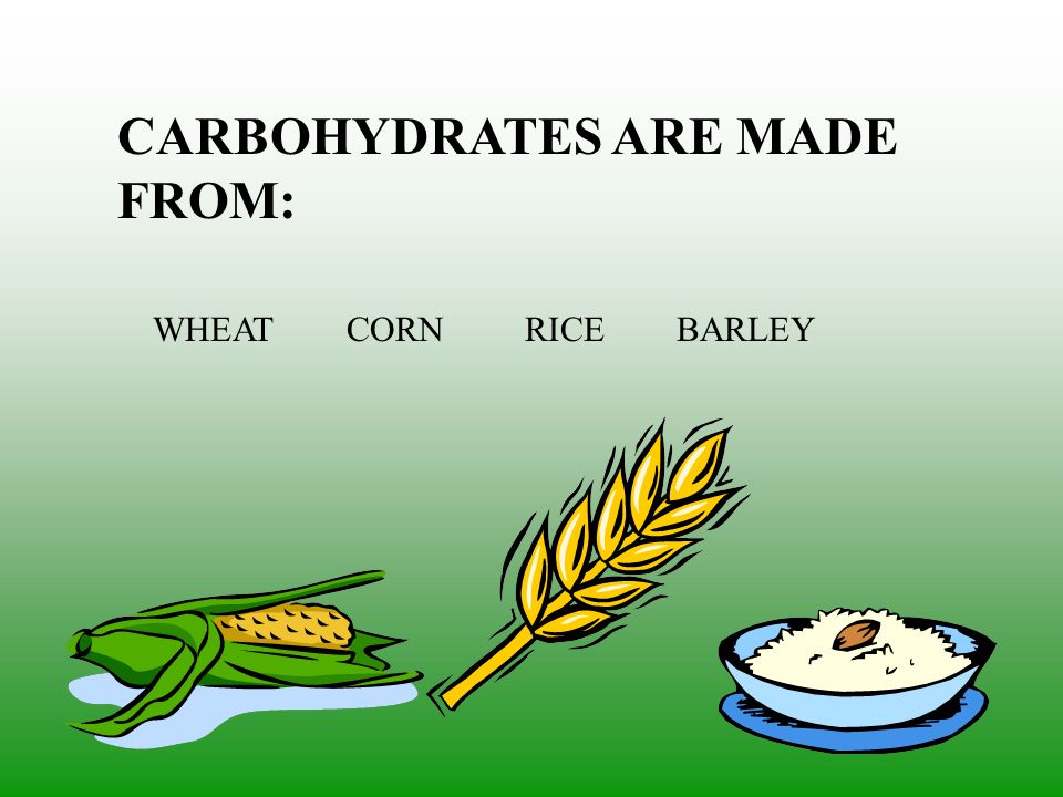 CARBOHYDRATES ARE MADE FROM: