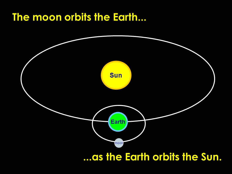 The earth goes round the sun