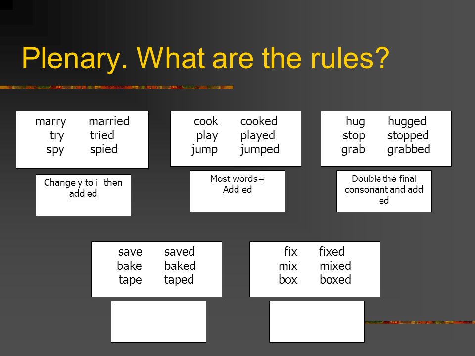 Plenary. What are the rules