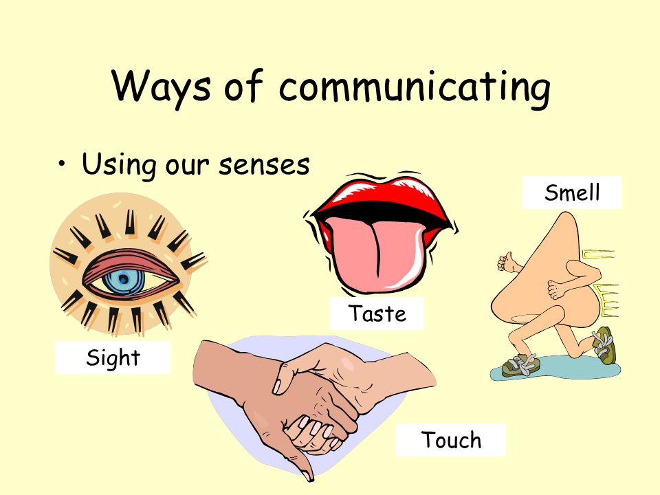 Ways of communicating Using our senses Smell Taste Sight Touch