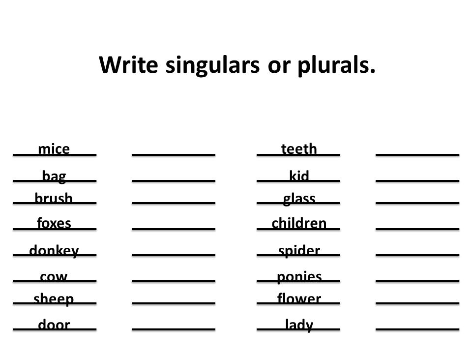 Write singulars or plurals.