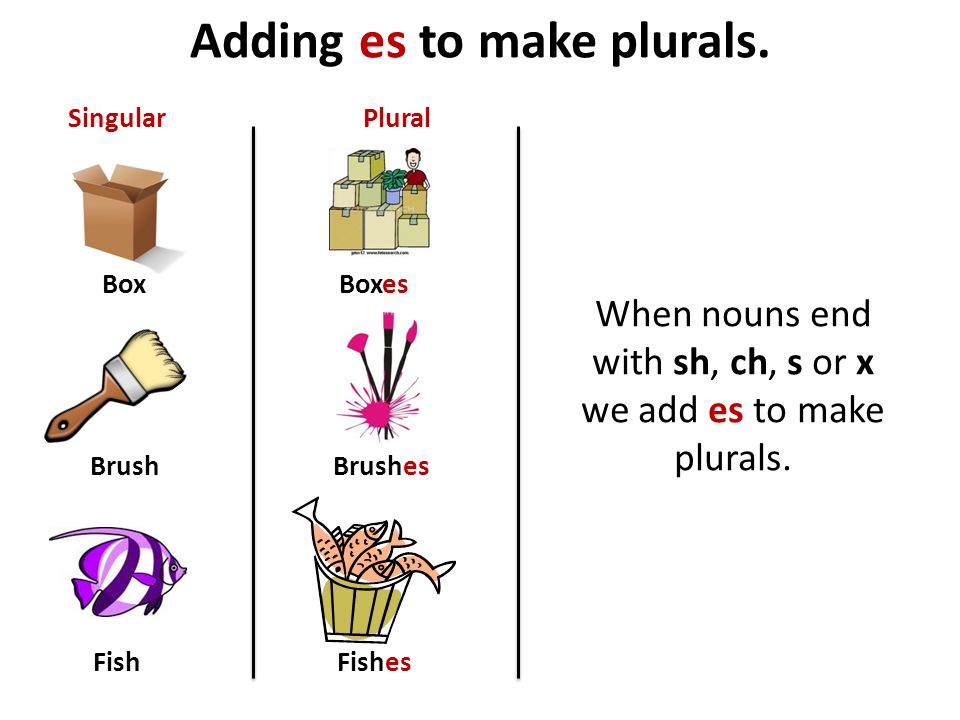 Adding es to make plurals.