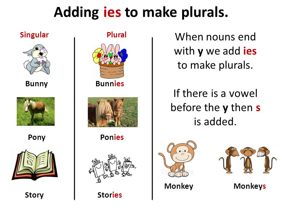 Adding ies to make plurals.