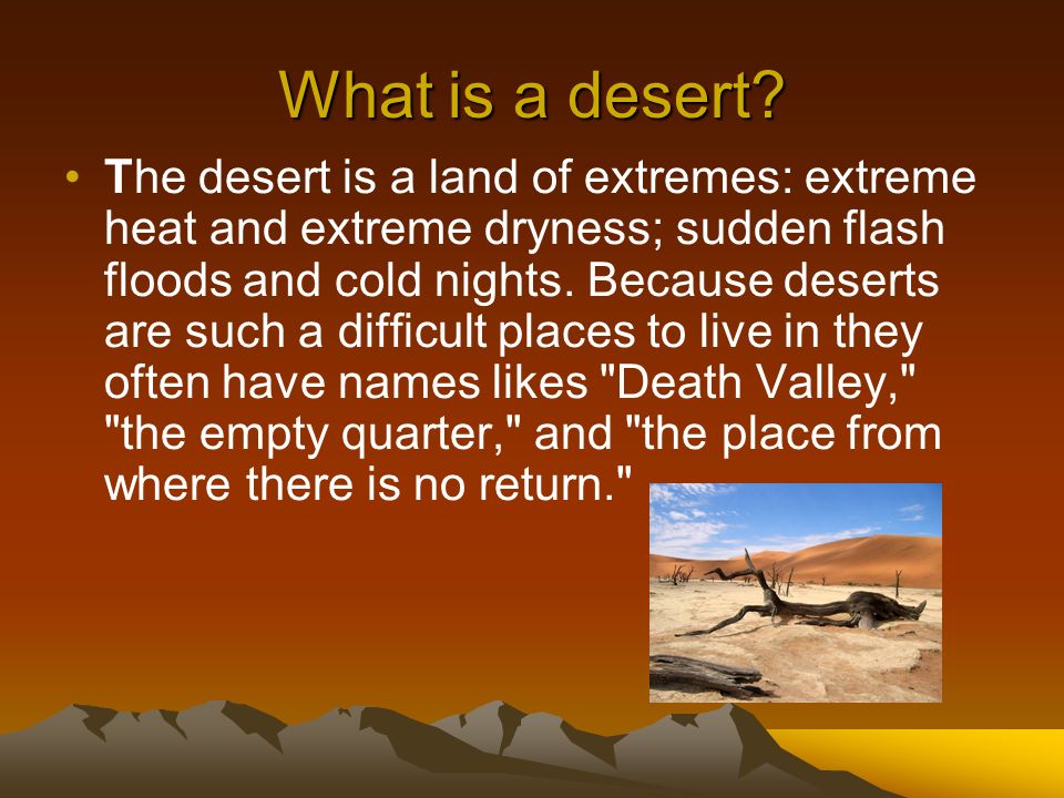 What is a desert