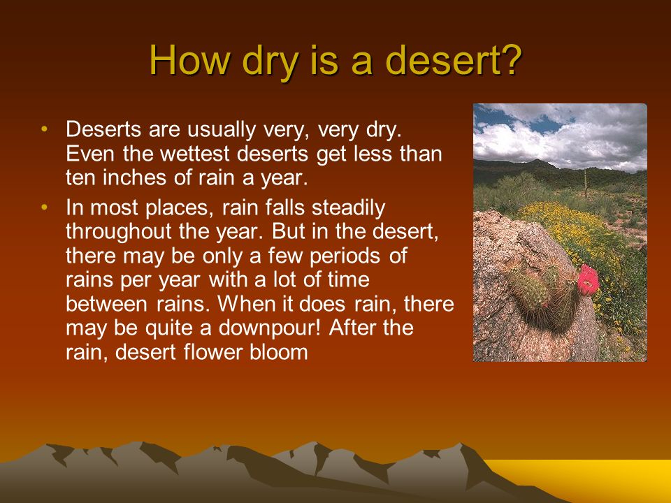 How dry is a desert Deserts are usually very, very dry. Even the wettest deserts get less than ten inches of rain a year.