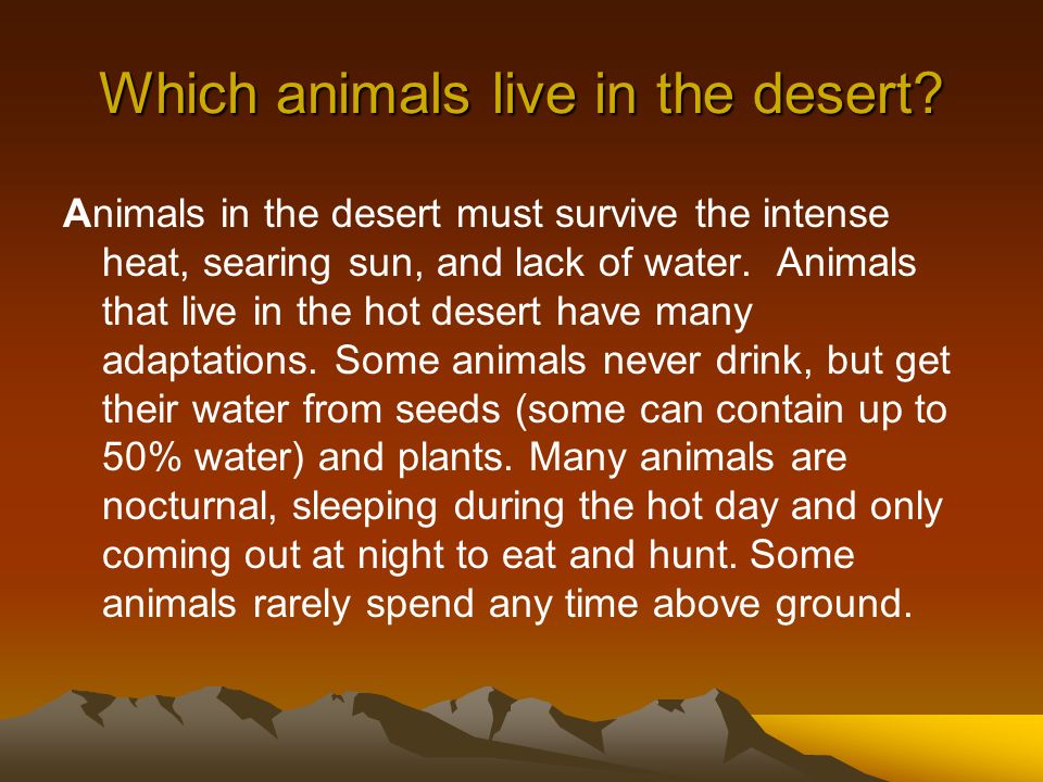Which animals live in the desert